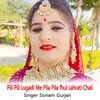 About Pili Pili Lugadi Me Pila Pila fhul Lahrati Chali Song